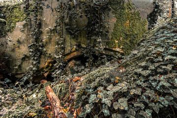 Old destroyed remains of Westwall bunkers along the border