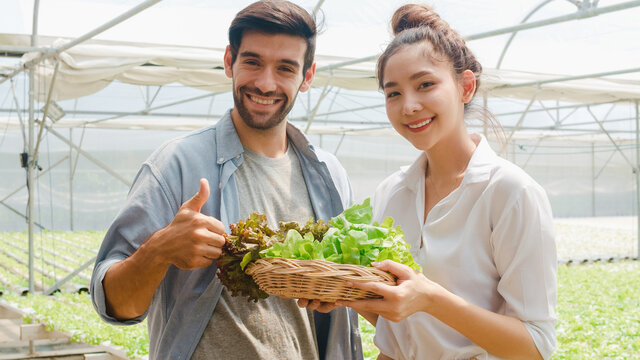 Young Asian businesswoman farmer product selling  good quality plant and vegetable with hispanic man buyer looking at camera at organic farm in greenhouse garden, Farm innovation technology concept.