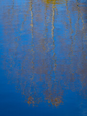 Reflections in a pond in autumn in a Moscow park