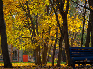 Golden autumn in October in the Moscow Park