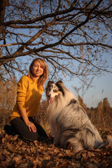Portrait of a Blue Merle Rough Collie and a girl under oak branches in an autumn park at sunset