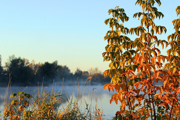 Beautiful sunrise over the water 