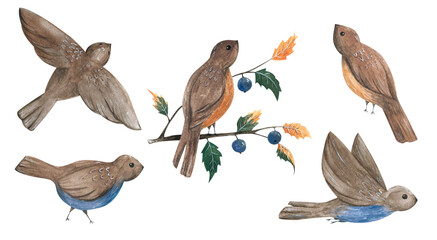 Autumn birds. Hand-painted set of isolated illustraions. Clipart