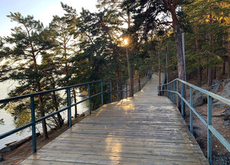 Obraz premium Amazing beautiful pine and brich forest in autumn time during day. Wooden walking bridge in coniferous and brich forests among the lake in Borovoe