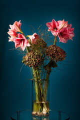 Flowers with Amaryllis in a glass vase on a glass table with dark blue background