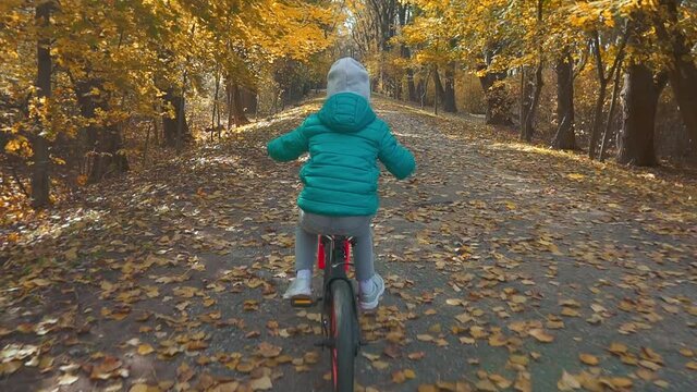 A four-year-old Caucasian girl rides a bicycle along a path in an autumn park. The concept of childrens sports in nature. High quality FullHD footage