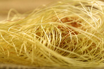 close up of a nest