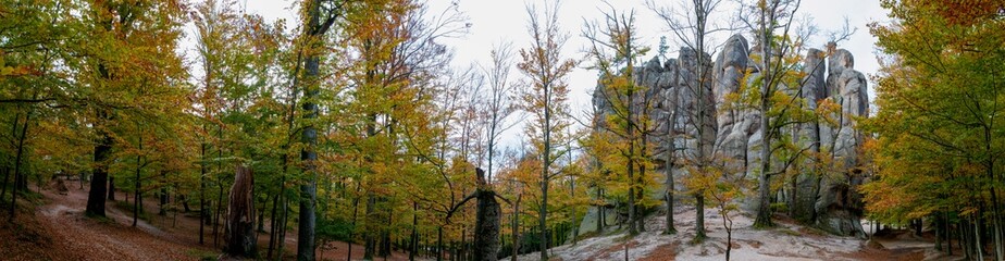 Panorama of autumn forest and rocks. Green and yellow leaves on trees.