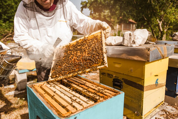 Beekeeper working collect honey. Beekeeping concept.