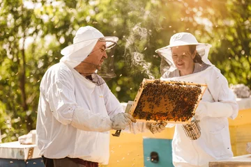 Fotobehang Beekeepers on apiary. Beekeepers are working with bees and beehives on the apiary. © Mediteraneo