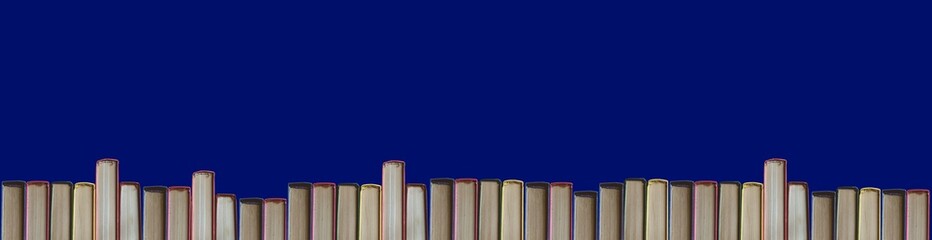 A long banner with Books at the bottom. Blue background and bookshelf. For design