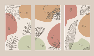Social Media frame templates. Abstract vector backgrounds with flora elements