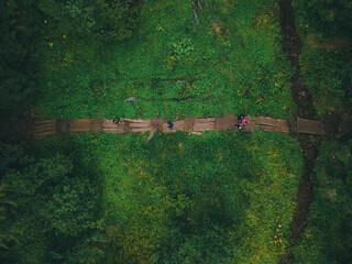overhead top view of trail in the forest