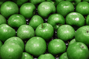 acid green apples are neatly arranged in the cells of special containers for storing vegetables and fruits