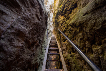 Sächsische Schweiz Hockstein Hocksteinaussicht Wolfsschlucht Sandstein Elbsandstein Gebirge Höhle 