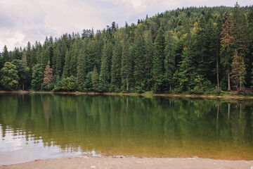 ukrainian carpathian lake synevyr