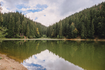 Fototapeta na wymiar ukrainian carpathian lake synevyr