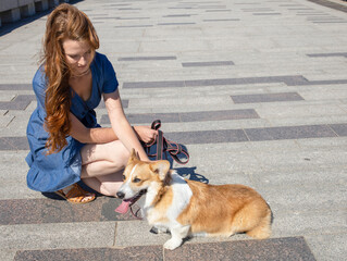 A girl with long red hair in a blue dress hugs her corgi dog in the park, in the afternoon. Friendship, vaccination of dogs, morning walk, rest, domestication