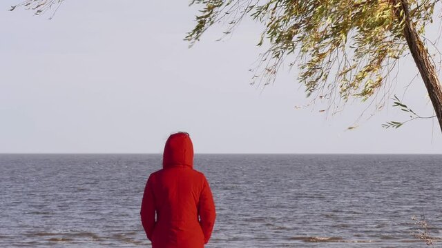 Woman in a red jacket stands under a tree and looks at the waves. Windy Autumn Day at the Shore of Lake Ilmen. Northern landscape