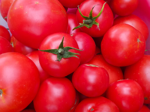  Fresh red tomatoes 