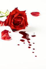 Image with a red rose