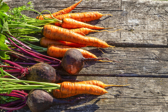 Image with carrot and beetroot.
