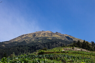 Natural Beauty on the Slopes of Mount Sumbing, Nepal Van Java, Butuh Village, Kaliangkrik, Magelang