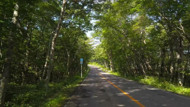 蔵王エコーラインのドライブ