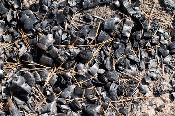 Natural background texture of black coal