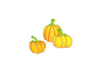 Vector illustration. Set of handdraw pumpkins, isolated, on white background