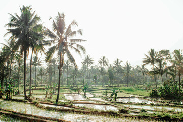 Natural beauty in the beautiful Kaliurang area