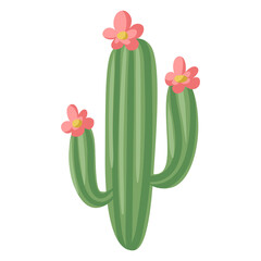 Stylized illustration of cactus. Image for design or decoration.