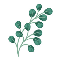 Illustration of stylized branch with leaves. Decorative plant.