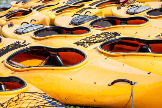 Many sport yellow kayaks ashore for students or for rent, forming a pattern.