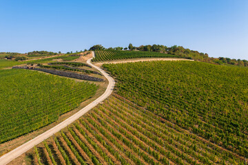 Fototapeta na wymiar Panoramic view about Tokaj historic wine region in Hungary with winery and vineyard. Tokaj historic wine region.