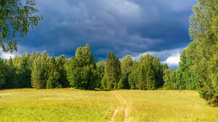 Beautiful natural landscape. Green forest on a background of blue sky and white clouds. A clear sunny summer day at the edge of the forest. The road to the forest.