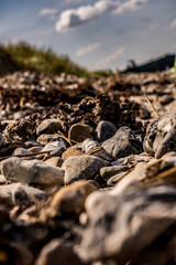 stones at the sea
