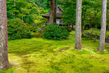 苔の庭