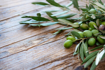 Olive branch on wooden rustic background . Fresh and Healthy organic olive fruits border design with copy space for your text. 