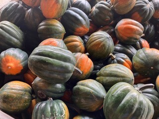acorn squash at the market