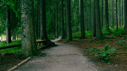 Nature Path
