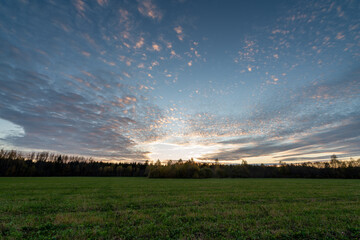 sunset over the field