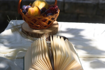 Vintage basket with various fruit and open book in a garden. Selective focus.