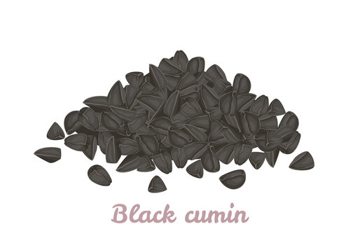 Heap of black cumin seeds isolated. Vector cartoon flat illustration. Healthy organic food.