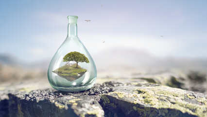 Tree growing inside clear glass bottle . Mixed media