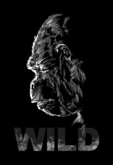 Gorilla drawing, sketch graphics with inscription Wild