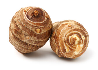 Taro on a white background