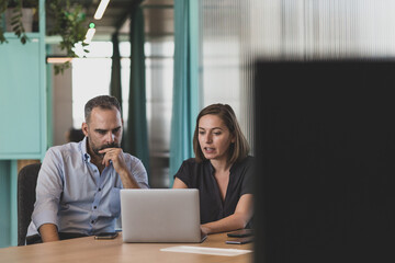 Two business executives in a meeting using a laptop