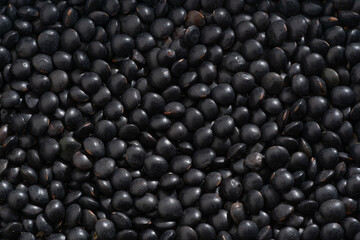 Detailed and large close up shot of beluga lentils
