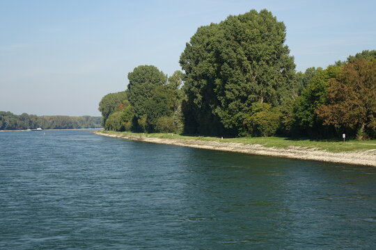 Eastern Rhine shore seen from the river on a cold and sunny autumn day, Maxau, Karlsruhe, Baden-Wurttemberg, Germany
